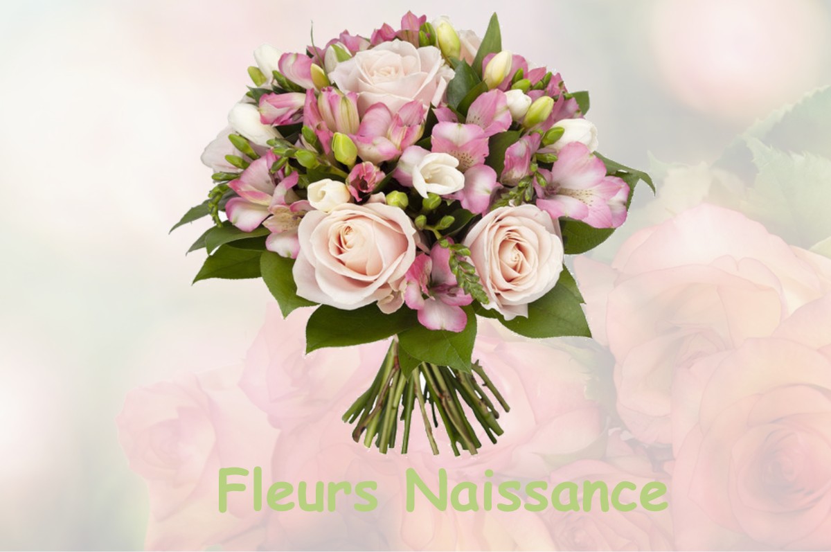 fleurs naissance VAUX-SUR-EURE